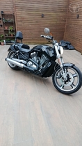 v rod muscle v rod muscle vrscf 1250cc 2014 porto alegre