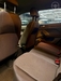 T-CROSS 1.0 TSI 200 SENSE AUTOMÁTICO - 2024 - PORTO ALEGRE