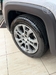 RENEGADE 1.3 T270 16V TURBO FLEX 4P AUTOMÁTICO - 2024 - VACARIA