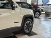 RENEGADE 2.0 16V TURBO DIESEL TRAILHAWK 4P 4X4 AUTOMÁTICO - 2018 - VACARIA