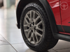 ARGO 1.8 TREKKING 16V FLEX 4P AUTOMÁTICO - 2020 - VACARIA