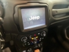 RENEGADE 2.0 16V TURBO DIESEL LONGITUDE 4P 4X4 AUTOMÁTICO - 2019 - VACARIA