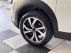 C4 CACTUS 1.6 THP SHINE FLEX 4P AUTOMATICO - 2019 - LAGOA VERMELHA