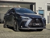 NX350 H 2.5 F-SPORT 16V 4P AUTOMÁTICO - 2025 - CAXIAS DO SUL