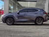 NX350 H 2.5 F-SPORT 16V 4P AUTOMÁTICO - 2025 - CAXIAS DO SUL