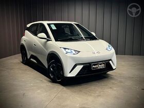 dolphin mini gl  2027 novo hamburgo