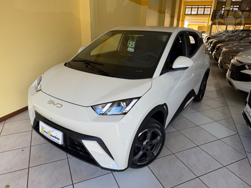 DOLPHIN MINI ELÉTRICO 4P AUTOMÁTICO - 2025 - NOVO HAMBURGO