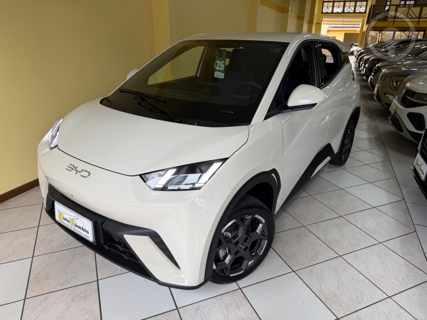 DOLPHIN MINI ELÉTRICO 4P AUTOMÁTICO - 2026 - NOVO HAMBURGO