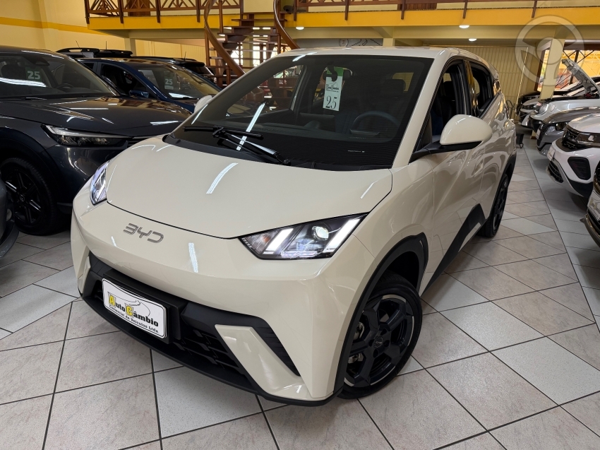 DOLPHIN MINI ELÉTRICO 4P AUTOMÁTICO - 2025 - NOVO HAMBURGO