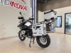R 1200 GS ADVENTURE  - 2010 - IVOTI