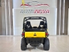 COMMANDER XT 1000CC  - 2012 - IVOTI