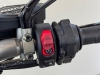 XDIAVEL S 1262  - 2020 - IVOTI