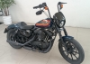 SPORTSTER 1200 CUSTOM - 2020 - CAXIAS DO SUL