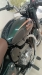 CLASSIC HALCYON 350 ABS - 2023 - CAXIAS DO SUL