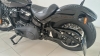 SOFTAIL STREET BOB - FXBB - 2019 - CAXIAS DO SUL