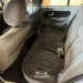 CLIO 1.6 PRIVILEGE 16V FLEX 4P MANUAL - 2009 - VALE REAL