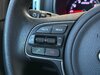 SPORTAGE - 2017 - SANTA CRUZ DO SUL