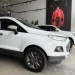 ECOSPORT 1.6 FREESTYLE 16V FLEX 4P MANUAL - 2014 - SãO FRANCISCO DE PAULA