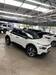 CACTUS SHINE 1.6 THP - 2019 - PASSO FUNDO