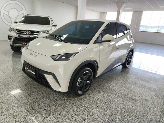 BYD DOLPHIN MINI DS EV 17.000  - 2025 - GETúLIO VARGAS