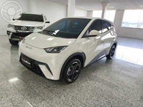 byd dolphin mini ds ev 17.000  2025 getulio vargas