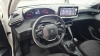 208 1.0 FIREFLY FLEX LIKE MANUAL - 2024 - PASSO FUNDO
