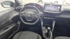 208 1.0 FIREFLY FLEX LIKE MANUAL - 2024 - PASSO FUNDO