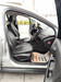 FOCUS 2.0 TITANIUM SEDAN 16V FLEX 4P AUTOMÁTICO - 2016 - ERECHIM