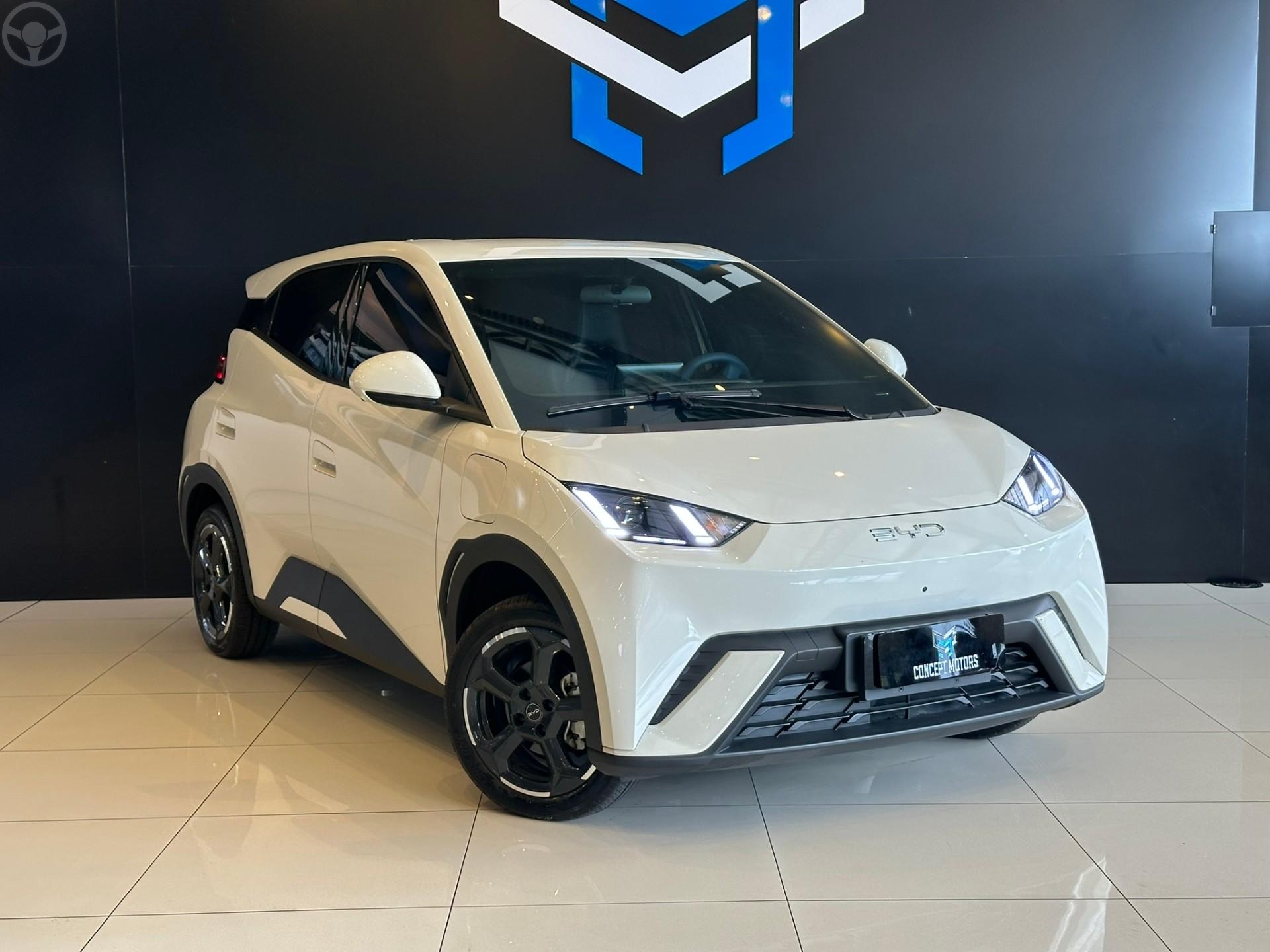 DOLPHIN MINI ELÉTRICO 4P AUTOMÁTICO - 2025 - PASSO FUNDO
