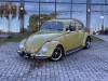 FUSCA 1300 - 1972 - PASSO FUNDO