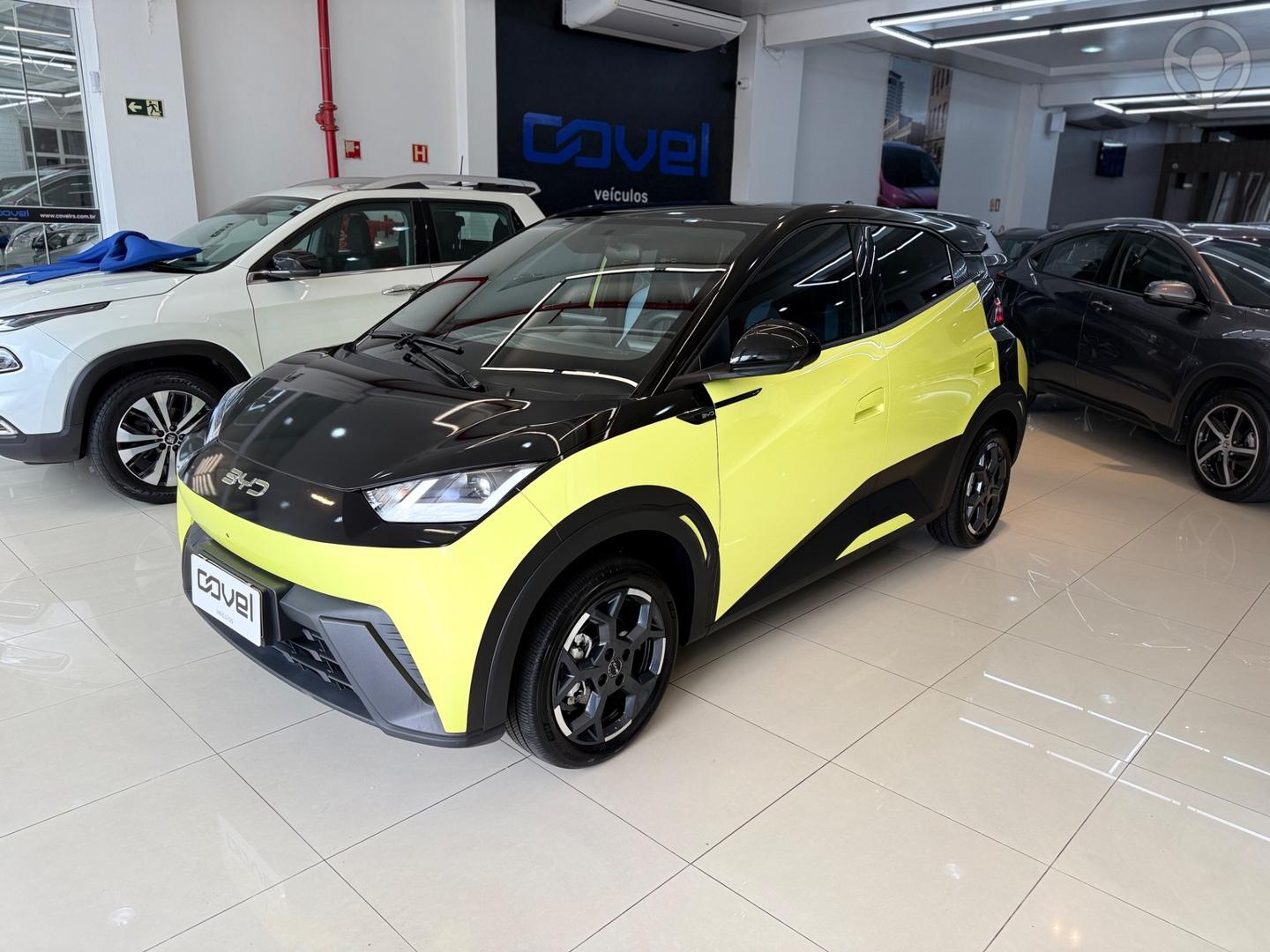DOLPHIN MINI ELETRICO 4P AUTOMATICO - 2026 - ENCANTADO
