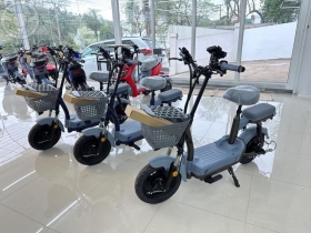 zilla 2025 encantado