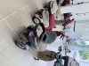 A3 TRICICLO - 2025 - ENCANTADO