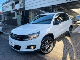 tiguan 2.0 tsi 16v turbo 4p tiptronic 2013 novo hamburgo