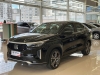 FASTBACK  - 2024 - CAXIAS DO SUL