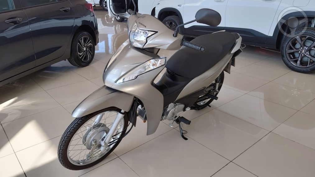 BIZ 110I  - 2024 - VACARIA