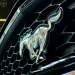 MUSTANG 3.7 COUPE V6 24V 2P AUTOMATICO - 2012 - LAJEADO