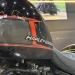 SOFTAIL DEUCE - 2023 - LAJEADO