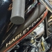 SOFTAIL DEUCE - 2023 - LAJEADO