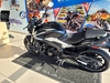 DOMINAR 250 250 - 2025 - CANELA