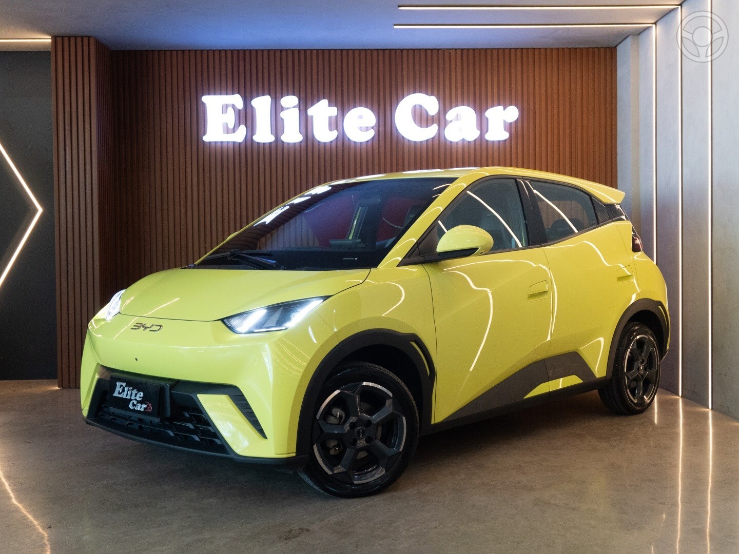DOLPHIN MINI 38 KW ELÉTRICO - 2025 - ESTâNCIA VELHA