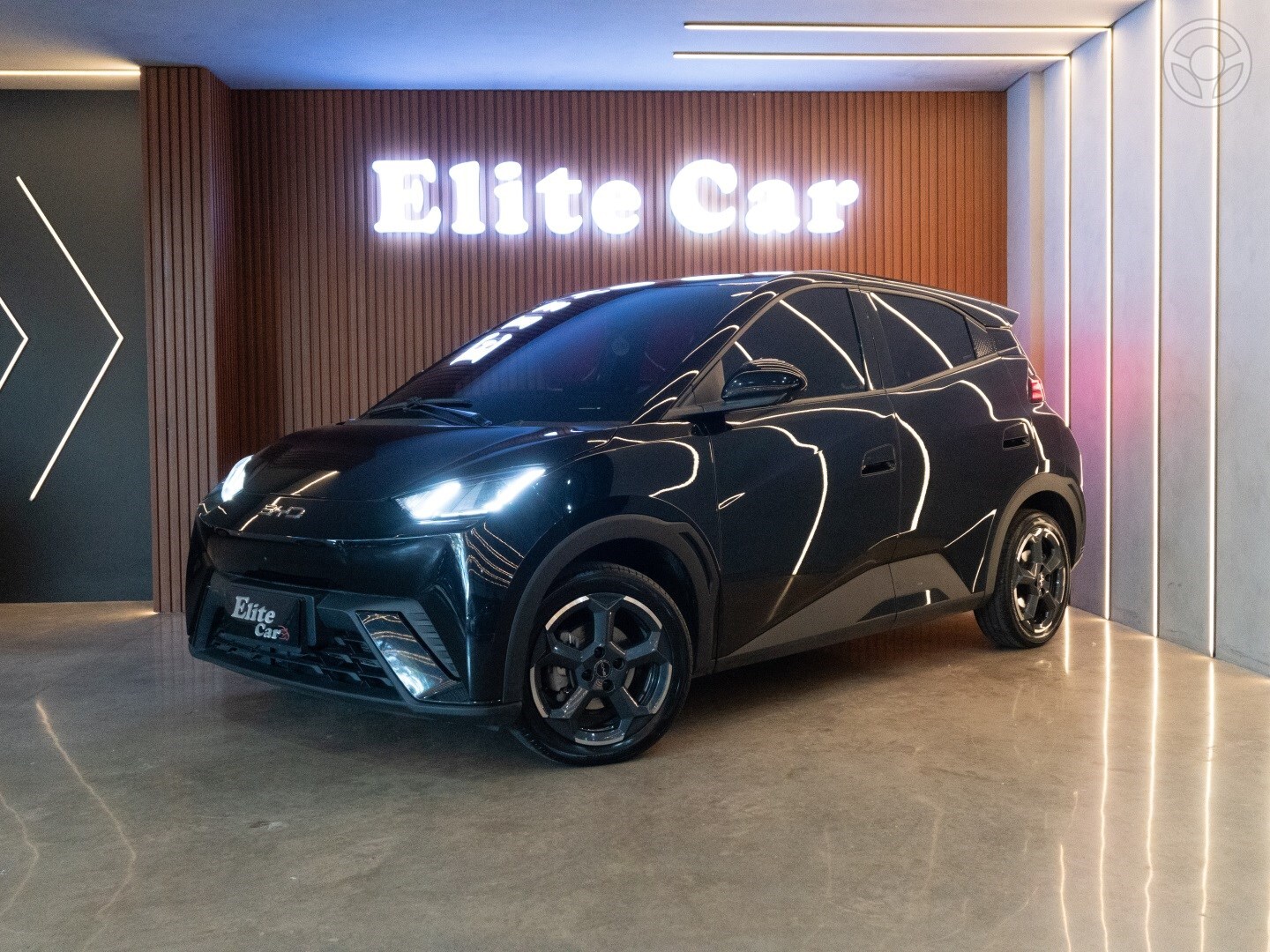 DOLPHIN MINI 38 KW ELÉTRICO - 2025 - ESTâNCIA VELHA