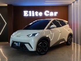 dolphin mini gs ev 2025 estancia velha