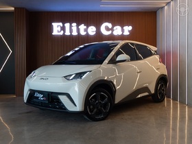 dolphin mini gs ev 2025 estancia velha
