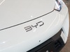 DOLPHIN MINI 38 KW ELÉTRICO - 2025 - ESTâNCIA VELHA