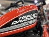 SPORTSTER XL 883 CUSTOM - 2008 - SANTA MARIA