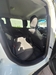 RENEGADE 1.8 16V FLEX SPORT 4P AUTOMÁTICO - 2021 - PASSO FUNDO
