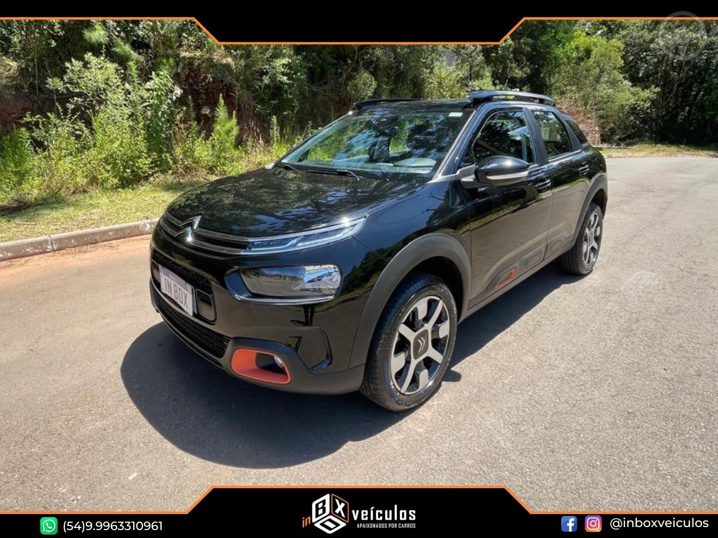 C4 CACTUS 1.6 THP FLEX SHINE PACK EAT6 - 2024 - GRAMADO