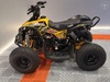THOR 90 CC - 2024 - GRAMADO