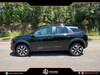 C4 CACTUS 1.6 THP FLEX SHINE PACK EAT6 - 2024 - GRAMADO